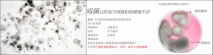 6c大-墙面发霉的产生及处理38.6(852-220)AI图片全能王.压缩
